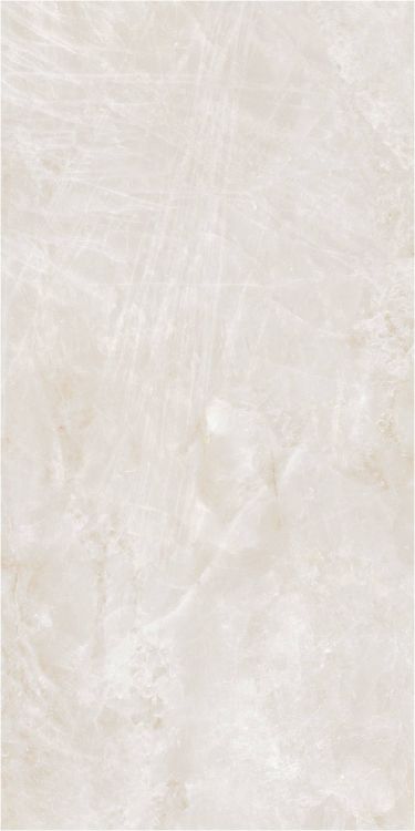 OL Taj Mahal Cream Matte 12 x 24